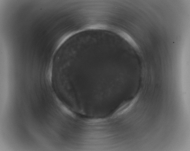 X0000113851228200910010954