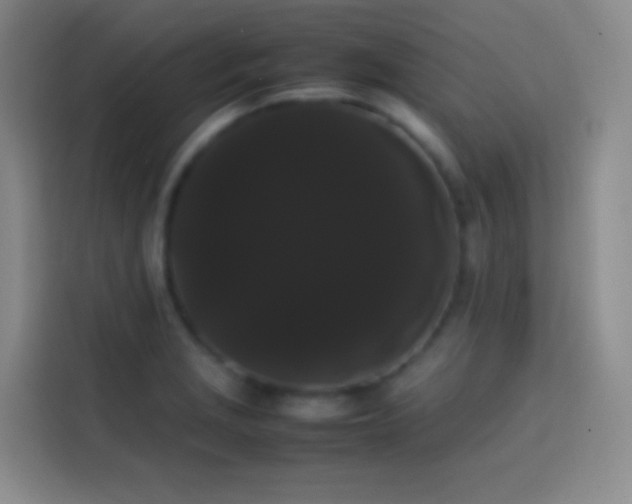 X0000113851229200910010954