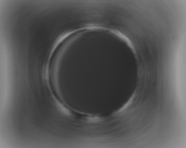 X0000113851231200910010954