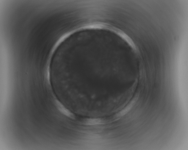 X0000113851232200910010954