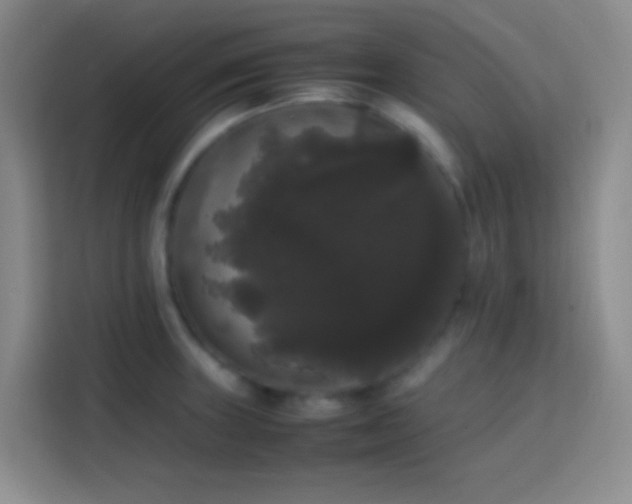 X0000113851235200910010954