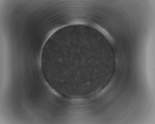 X0000113851236200910010954