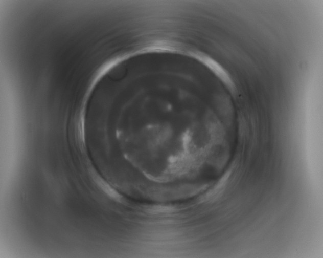 X0000113851238200910010954