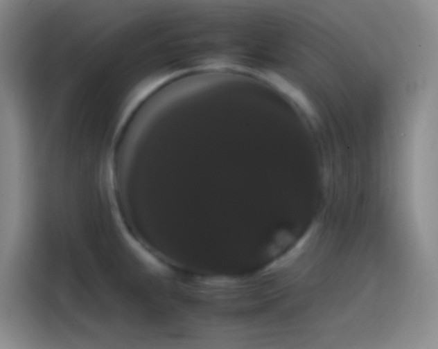 X0000113851239200910010954