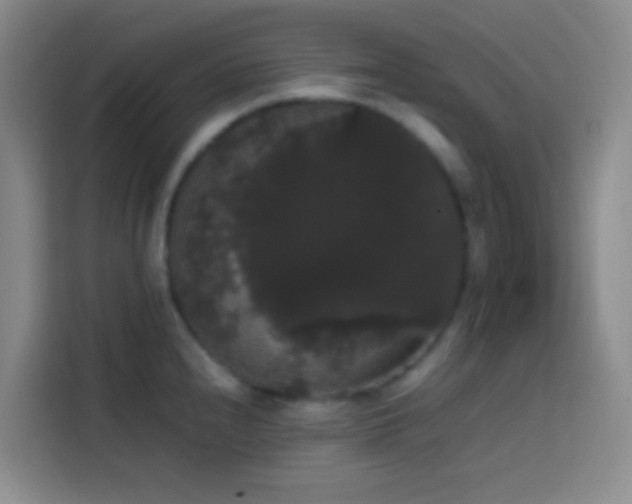 X0000113851240200910010954