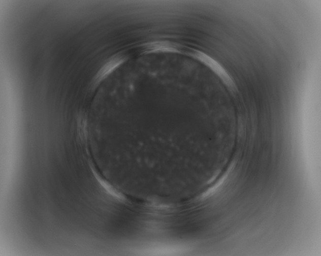 X0000113851241200910010954