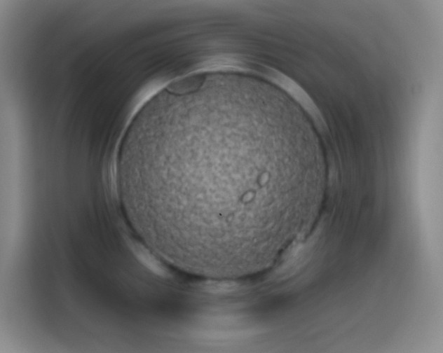 X0000113851242200910010954