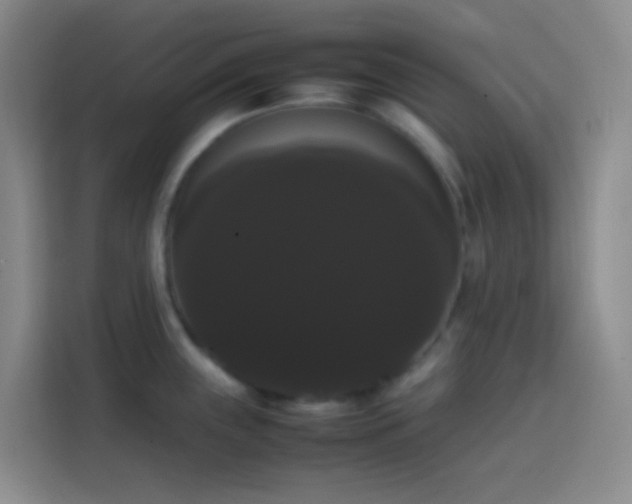 X0000113851243200910010954