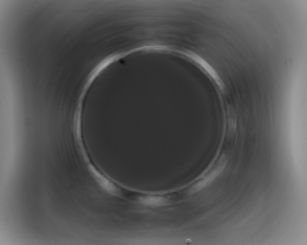 X0000113851245200910010954