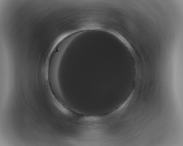 X0000113851246200910010954