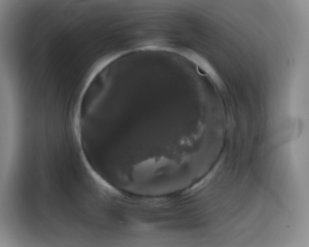 X0000113851247200910010954