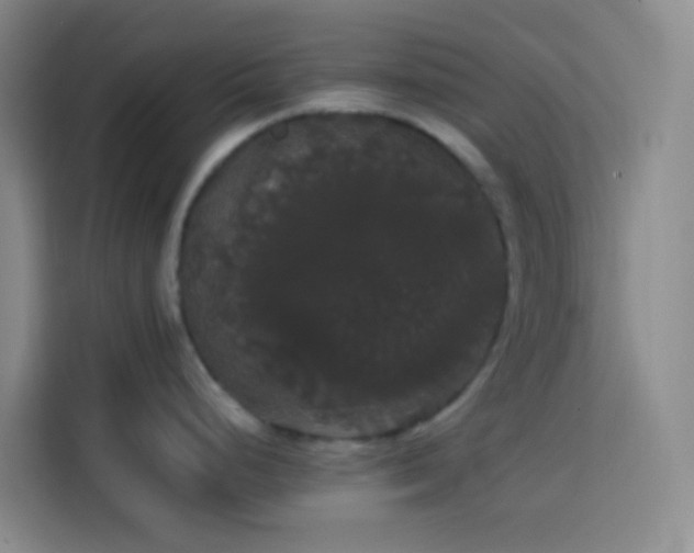 X0000113851248200910010954