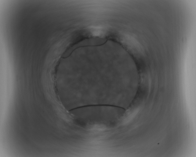 X0000113851249200910010954