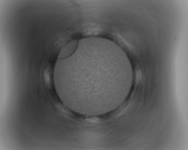 X0000113851250200910010954