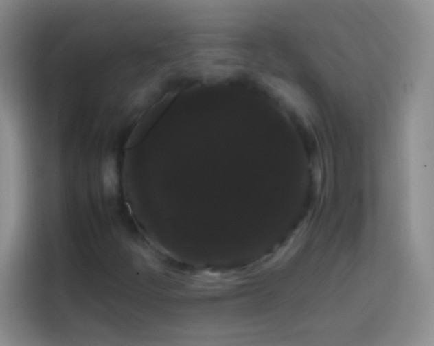 X0000113851252200910010954