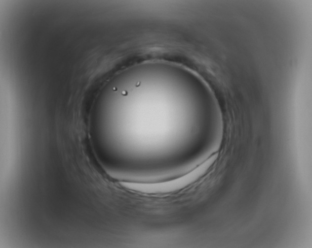 X0000113851253200910010954