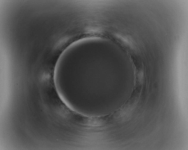 X0000113851254200910010954