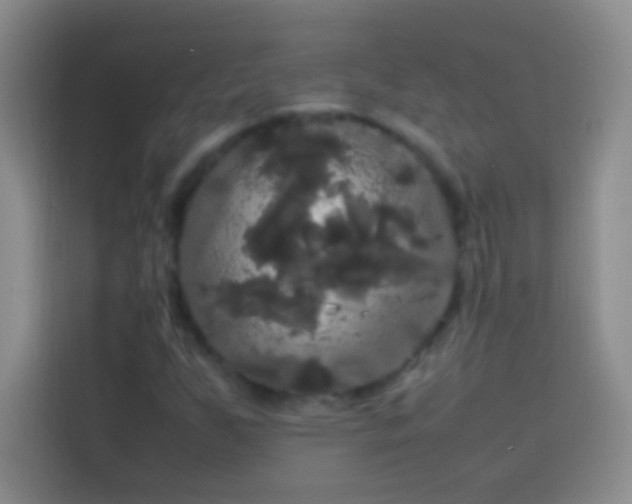 X0000113851255200910010954