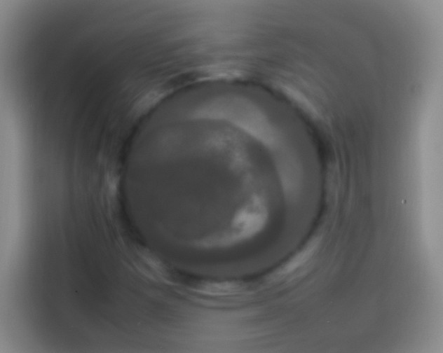 X0000113851257200910010954