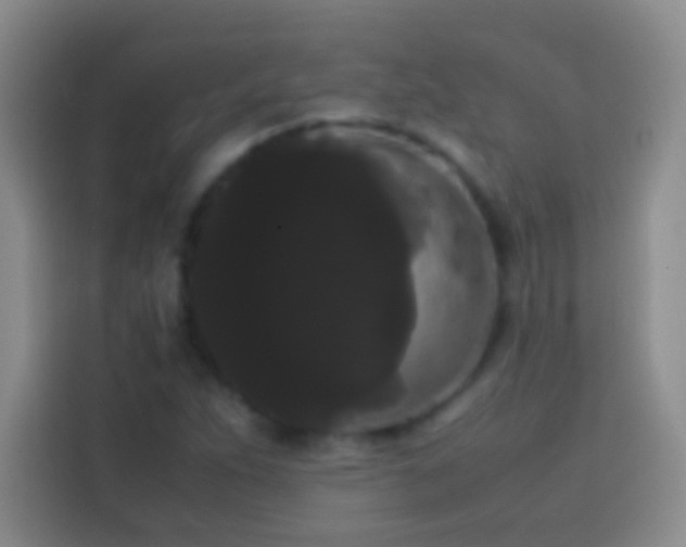 X0000113851263200910010953