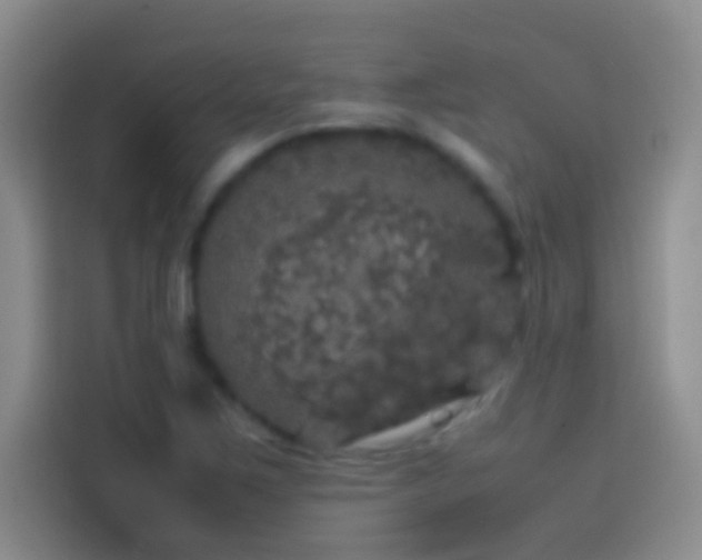 X0000113851267200910010953