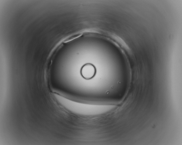 X0000113851268200910010953