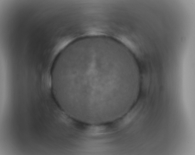 X0000113851269200910010953