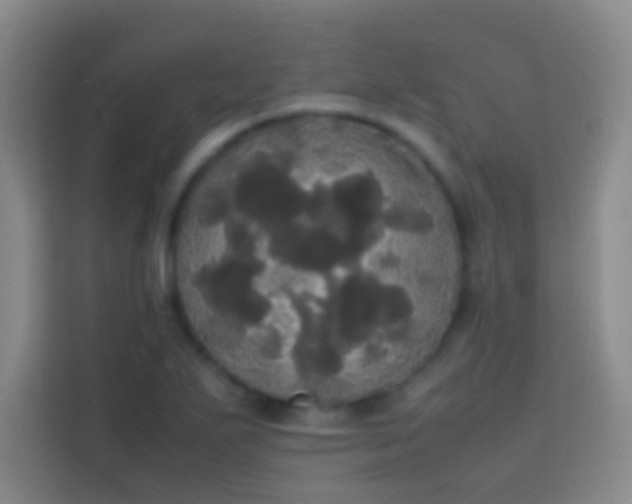 X0000113851271200910010953