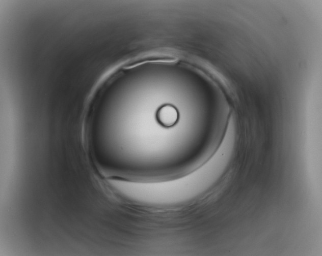 X0000113851272200910010953