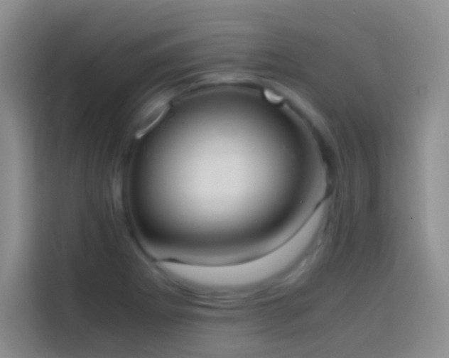 X0000113851273200910010953