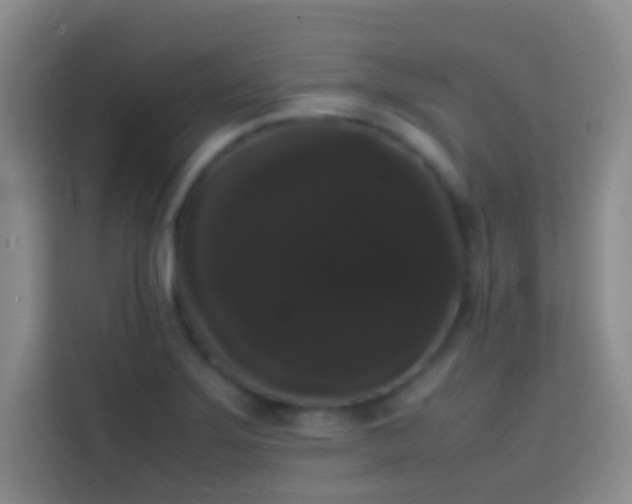 X0000113851275200910010953