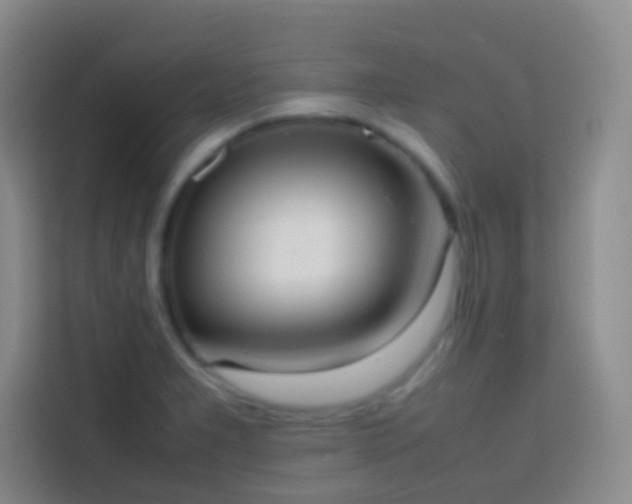 X0000113851277200910010953