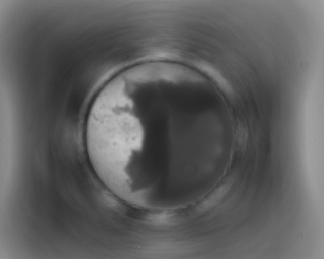 X0000113851278200910010953