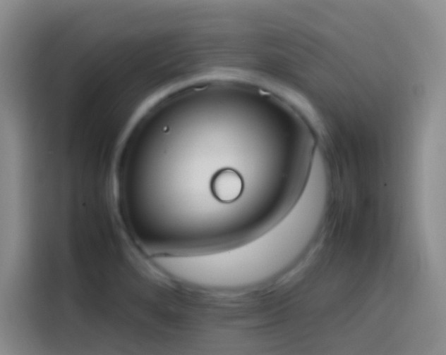 X0000113851280200910010953