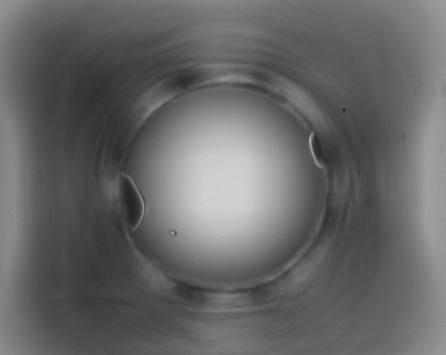 X0000113851281200910010953