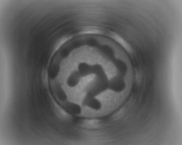 X0000113851282200910010953