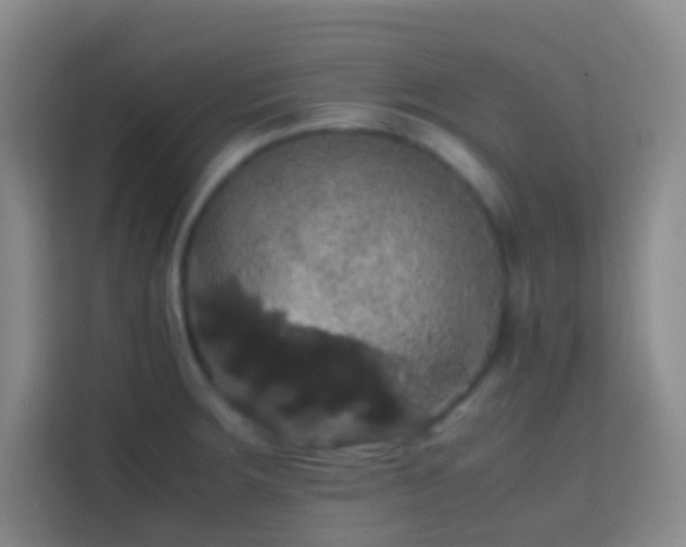 X0000113851283200910010953