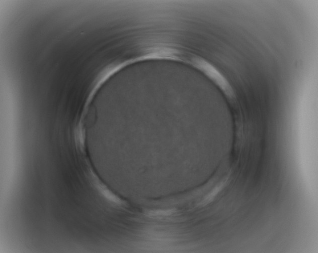 X0000113851284200910010953