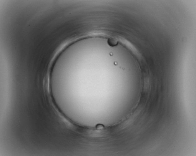 X0000113851286200910010953