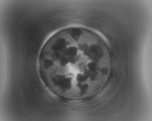 X0000113851287200910010953