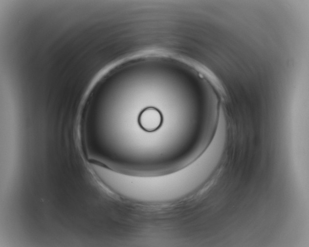 X0000113851288200910010953