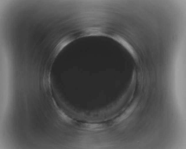 X0000113851289200910010953