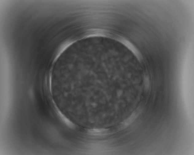 X0000113851290200910010953