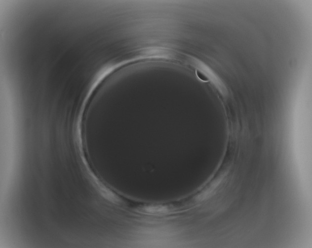 X0000113851291200910010953