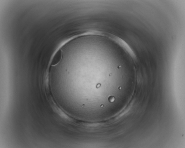 X0000113851292200910010953