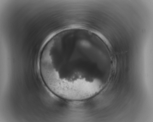 X0000113851294200910010953