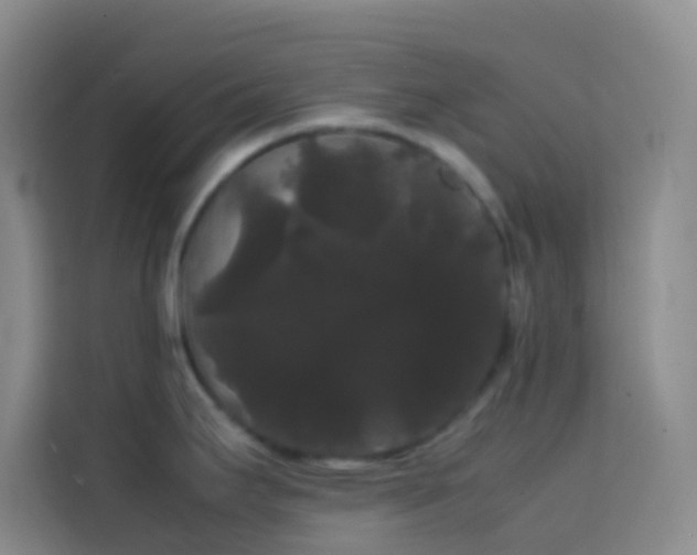 X0000113851295200910010953