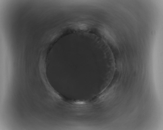 X0000113851297200910010952