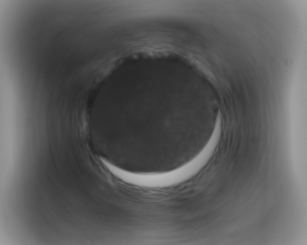 X0000113851298200910010952