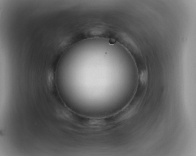 X0000113851299200910010952